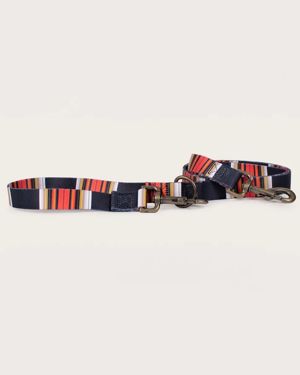 ACADIA NATIONAL PARK ADVENTURE LEASH