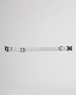 FALCON COVE ADVENTURE COLLAR