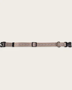 WESTERLEY ADVENTURE COLLAR