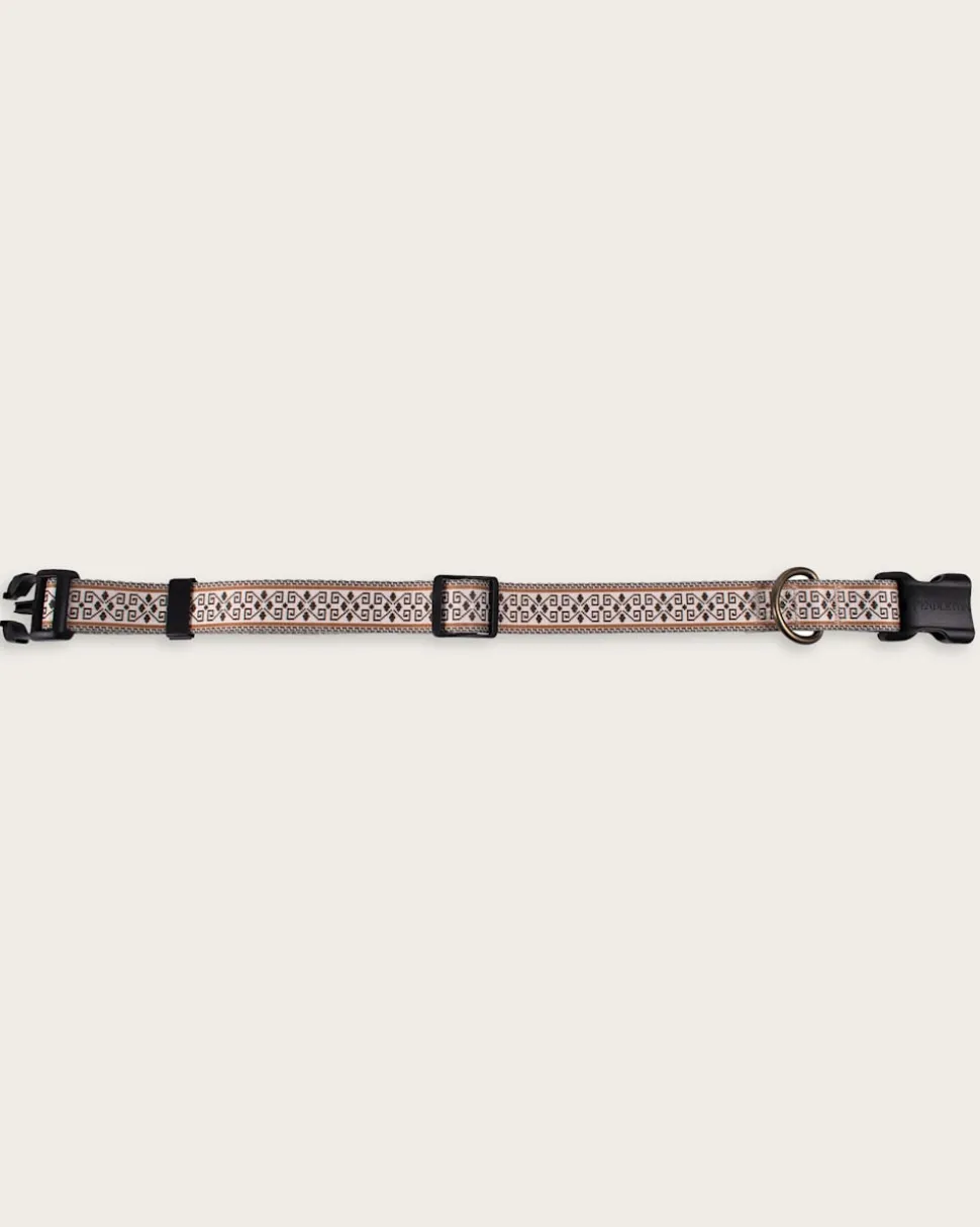 WESTERLEY ADVENTURE COLLAR