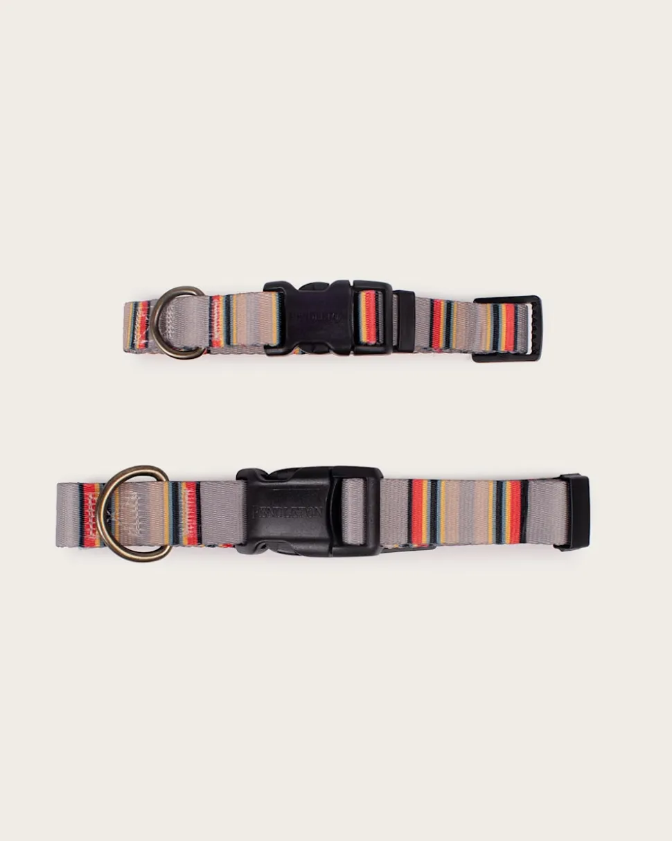 YAKIMA CAMP ADVENTURE COLLAR