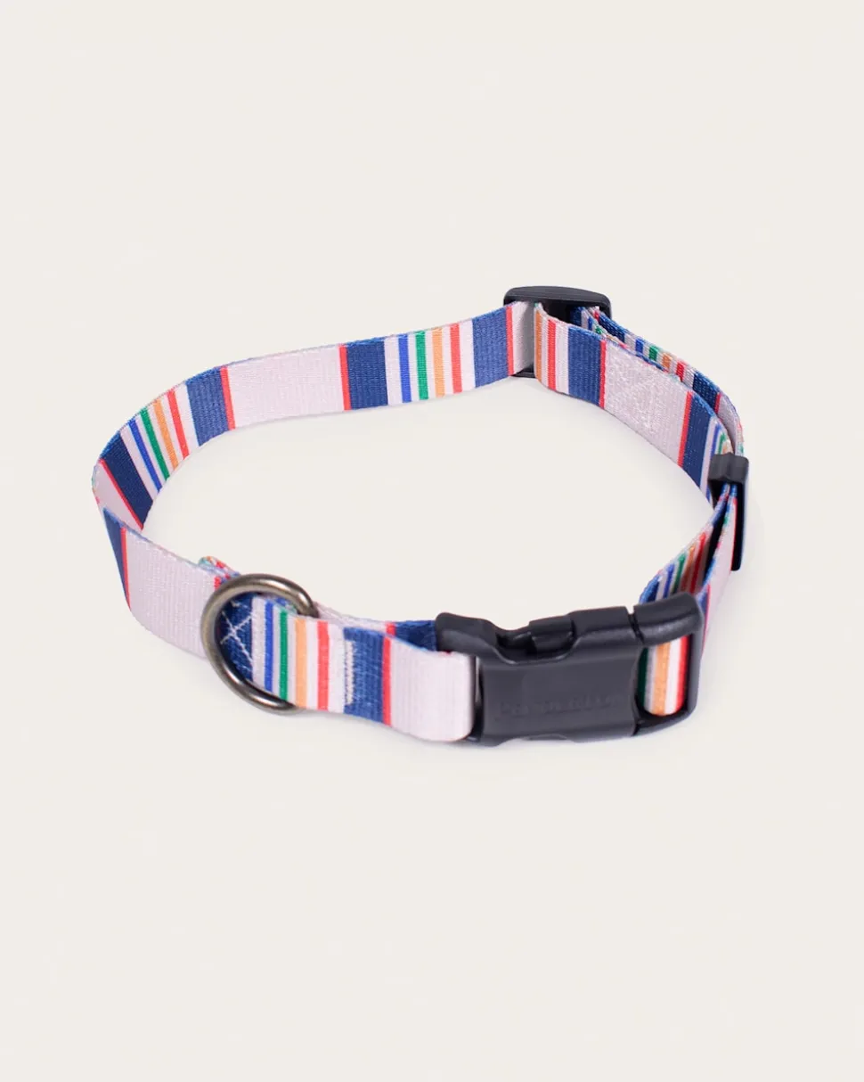 YELLOWSTONE NATIONAL PARK ADVENTURE COLLAR